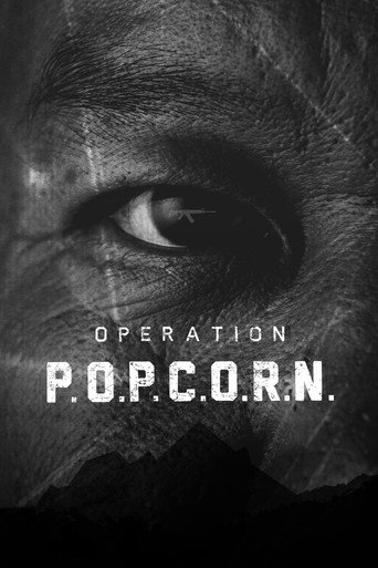 Movie poster for Operation Popcorn (2015)