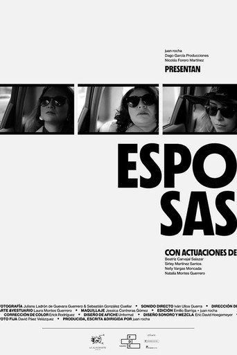 Movie poster for Esposas (2024)
