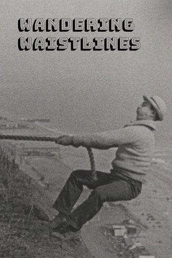 Movie poster for Wandering Waistlines (1924)