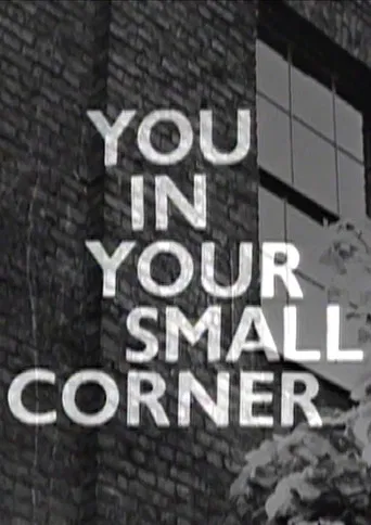 You in Your Small Corner poster