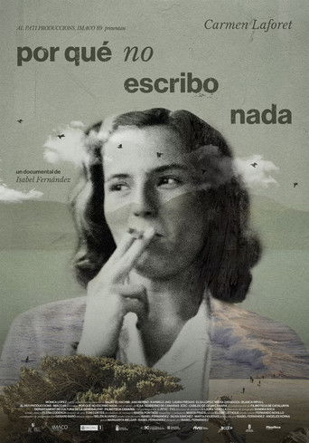 Por qué no escribo nada poster