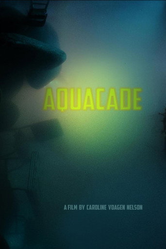 Movie poster for Aquacade (2017)