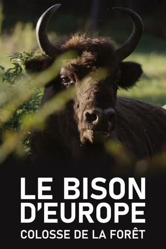 Movie poster for Le Bison d'Europe, colosse de la forêt (2023)