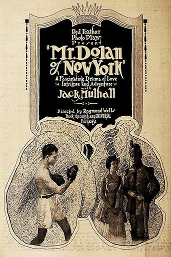 Movie poster for Mr. Dolan of New York (1917)