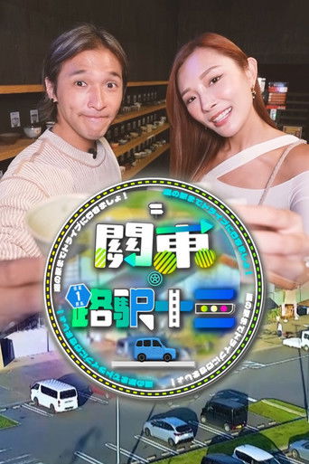 Roadside Station Guide XIII poster