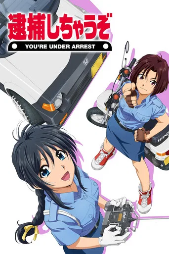 Series poster for You're Under Arrest (1994)