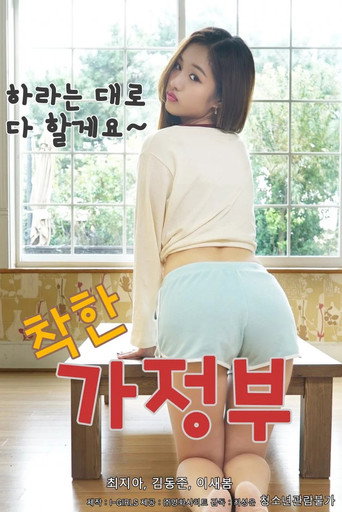 Movie poster for A Nice Housekeeper (2020)
