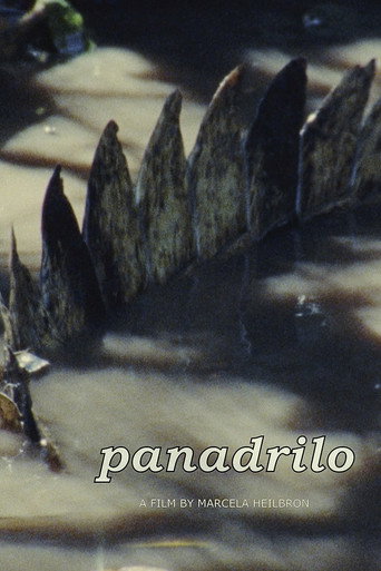 Movie poster for Panadrilo (2024)