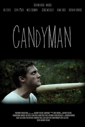 Movie poster for CandyMan (2011)