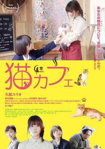 Cat Cafe poster