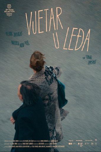 Wind Beneath the Wings poster