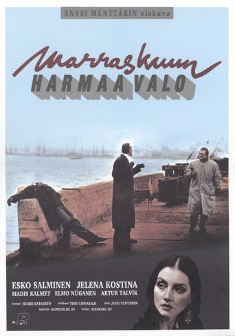Marraskuun harmaa valo poster