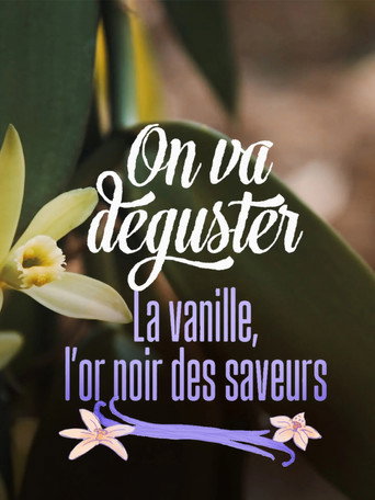 Movie poster for On va déguster : La vanille, l'or noir des saveurs (2026)