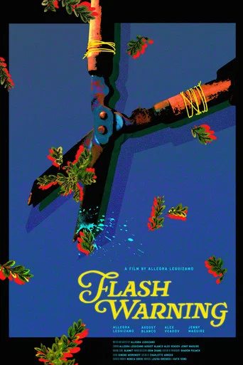 Movie poster for Flash Warning