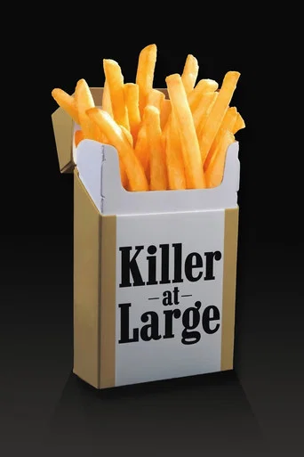 Movie poster for Killer at Large (2008)