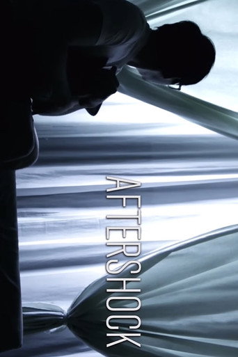 Movie poster for Aftershock (2014)