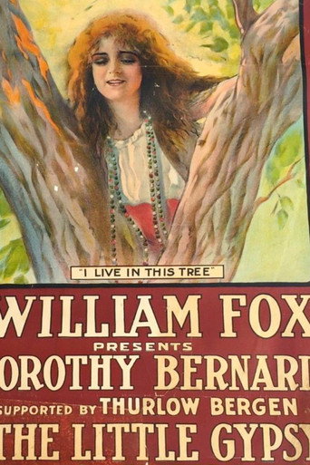 Movie poster for The Little Gypsy (1915)