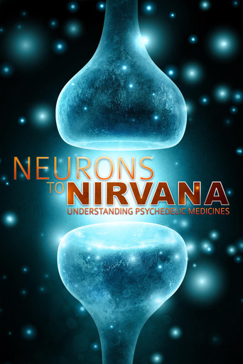 Movie poster for Neurons to Nirvana (2013)