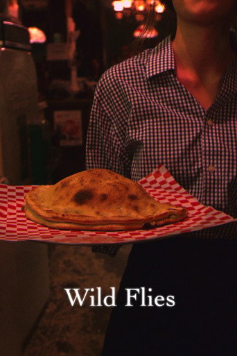 Movie poster for Wild Flies (2016)