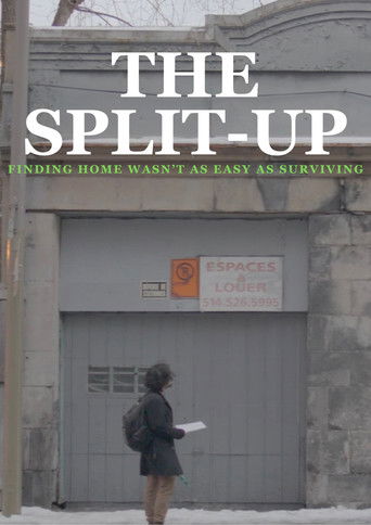 The Split-Up poster