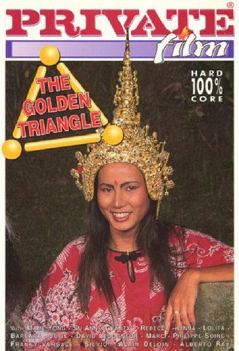 Movie poster for The Golden Triangle (1994)