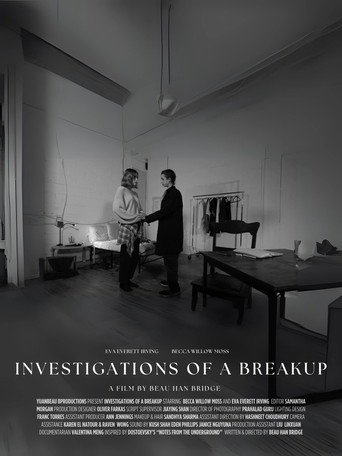 Movie poster for Investigations of a Breakup (2025)