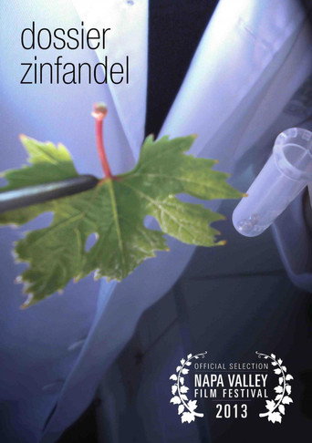 Movie poster for Dossier Zinfandel (2013)