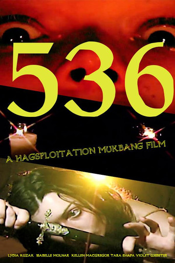 Movie poster for 536 (2024)