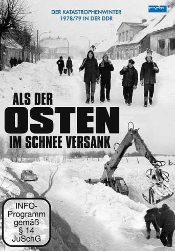 Movie poster for Als der Osten im Schnee versank (2014)