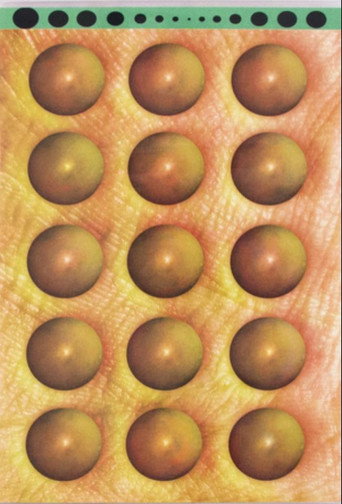 Movie poster for Savory Selections