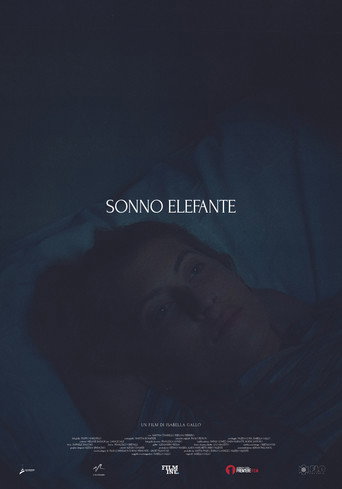 Movie poster for Sonno Elefante (2025)