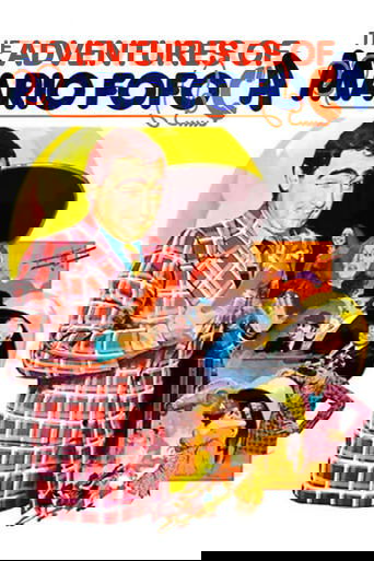 The Adventures of Mario Fofoca poster