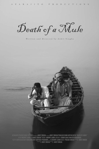 Movie poster for Death of a Mule