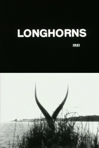 Movie poster for Longhorns (1951)