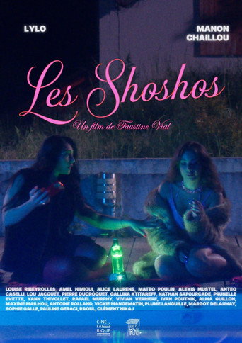 Movie poster for Les Shoshos