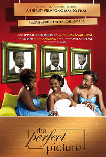 Movie poster for The Perfect Picture (2009)