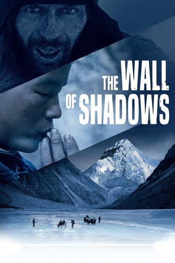Movie poster for The Wall of Shadows (2021)