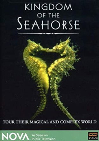 Movie poster for Kingdom of the Seahorse (1997)
