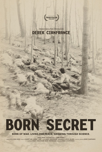 Born Secret poster