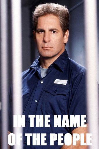 In the Name of the People poster