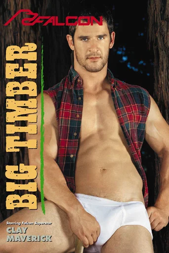 Movie poster for Big Timber (2003)