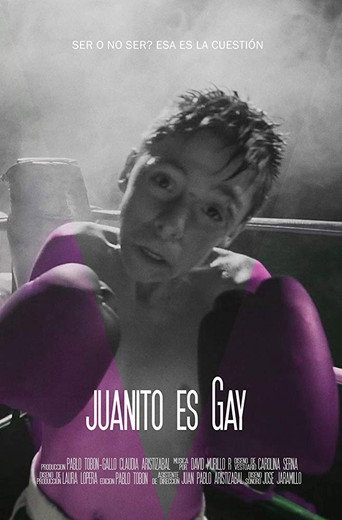 Movie poster for Johnny Is Gay (2016)