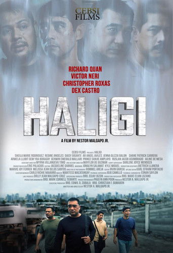 Haligi poster