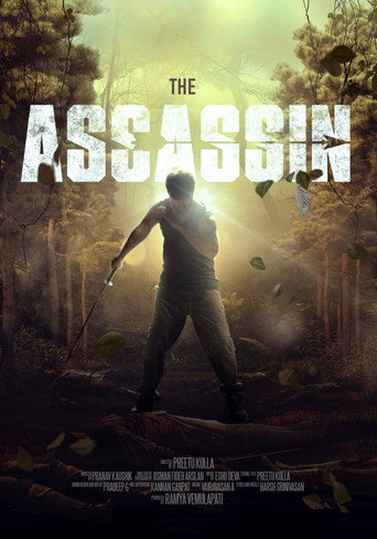 Movie poster for The Assassin