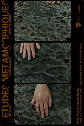 Movie poster for Études Métamorphiques