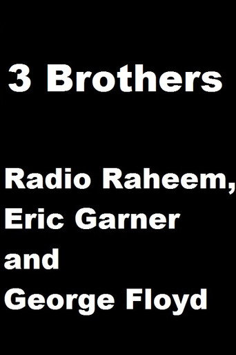 3 Brothers: Radio Raheem, Eric Garner and George Floyd poster