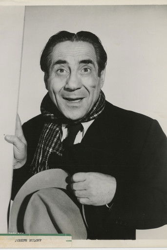 The Pink Hussar poster