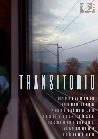 Movie poster for Transitory (2019)