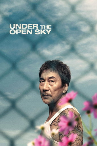 Movie poster for Under the Open Sky (2021)