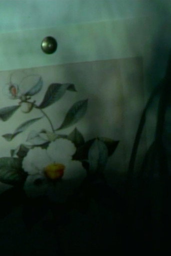 Movie poster for out of touch (franklinia still life) (2023)